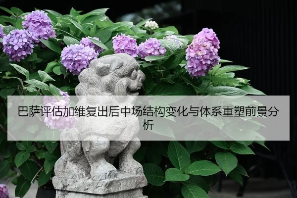 巴萨评估加维复出后中场结构变化与体系重塑前景分析
